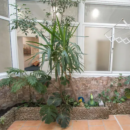 Apartamento Hercules Apartment *